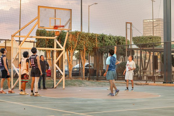 Guide des niveaux de ceinture en jjb : trouvez votre niveau